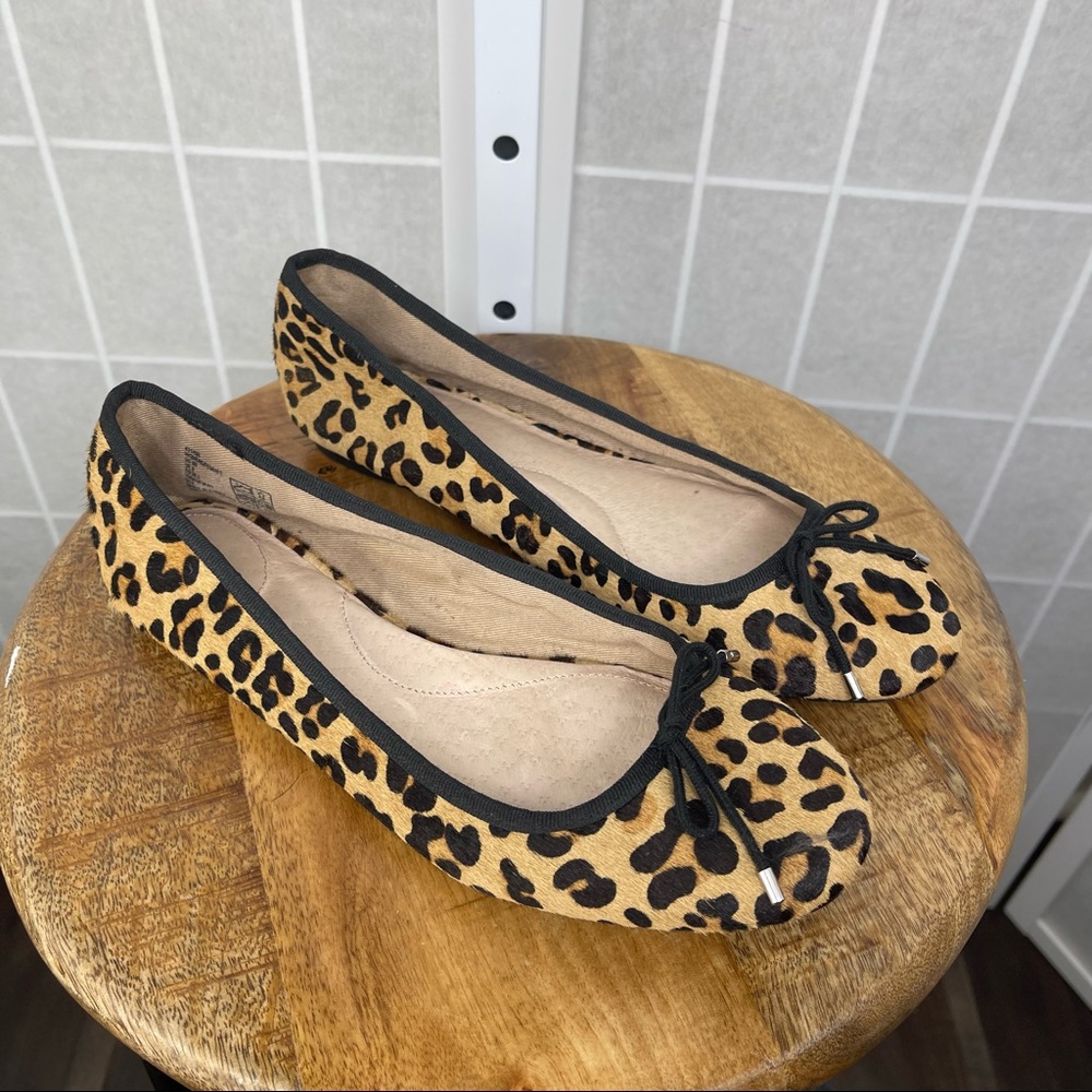 Leopard Print Ballet Flats - Black Trim
